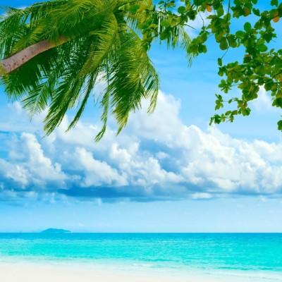 1920 x 1080 HD Wallpapers 2746